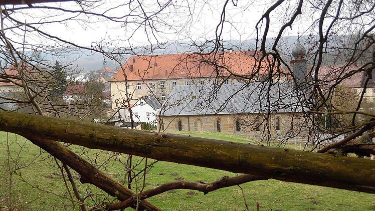 Blick vom Forstweg aus auf Klosterlangheim. Foto: Günter Reinlein