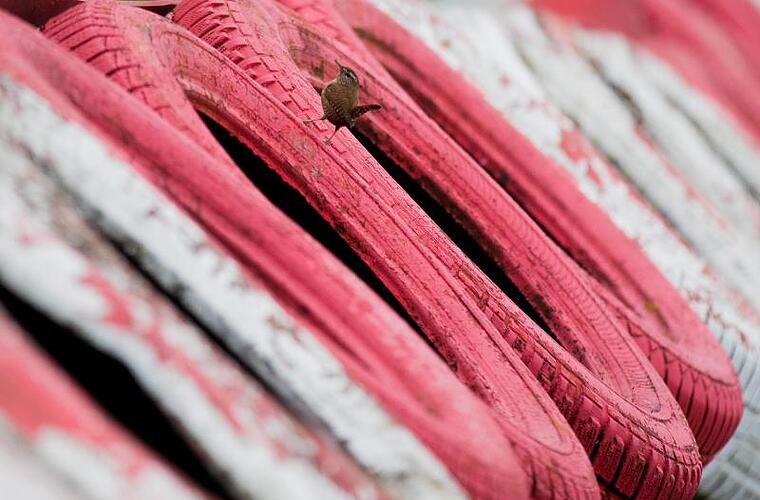 Kinoprogramm Kerpen Kinoprogramm Kerpen