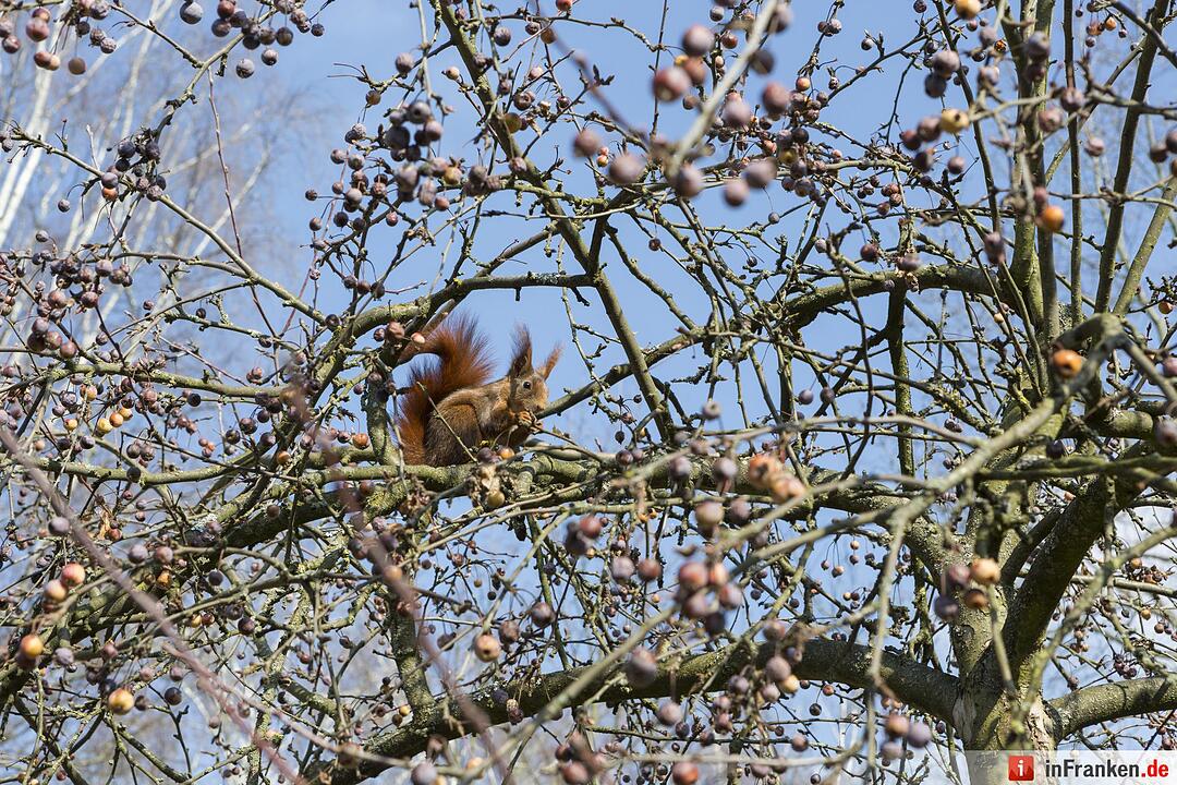 Frühlingsbeginn in Fürth
