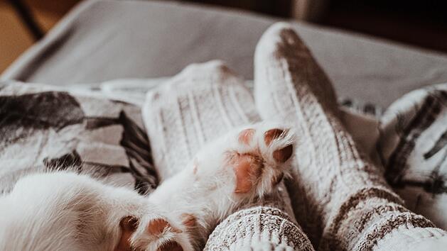 Sie tragen uns durch das Leben: Wenn die Füße ausgekühlt sind, ist das oft sehr unangenehm. Abhilfe schaffen schon einfach Mittel wie warme Socken. Aber Vorsicht: Neben harmlosen Ursachen können auch Krankheiten hinter kalten Füßen stecken.  Symbolfoto: Valeriia Miller/Unsplash.com.