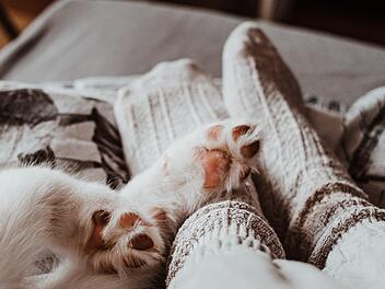 Sie tragen uns durch das Leben: Wenn die Füße ausgekühlt sind, ist das oft sehr unangenehm. Abhilfe schaffen schon einfach Mittel wie warme Socken. Aber Vorsicht: Neben harmlosen Ursachen können auch Krankheiten hinter kalten Füßen stecken.  Symbolfoto: Valeriia Miller/Unsplash.com.