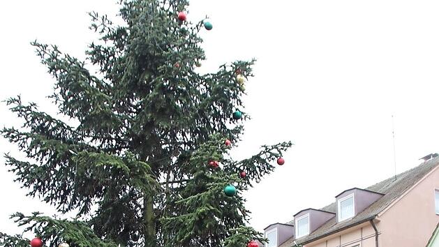 Ein ganzes Team schm&uuml;ckte den Weihnachtsbaum am H&ouml;chstadter Marktplatz. Vorne von links: Sch&uuml;lerpraktikant Nico Marchetti, Nadja M&uuml;ller, Gerald Brehm, auf dem Hubsteiger im Hintergrund Susanne Bayer und Thomas Oppelt.  Foto: Andreas Dorsch