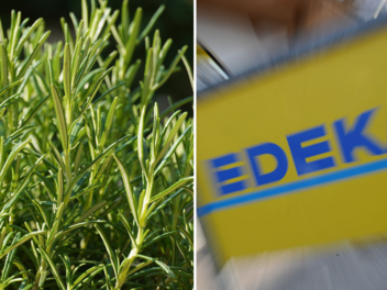 Edeka: Kräutermischung im Öko-Test