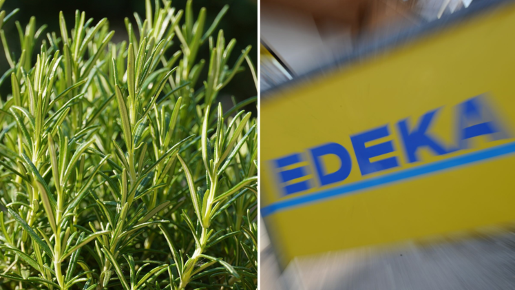 Edeka: Kräutermischung im Öko-Test