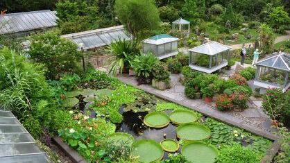Tropisches Wasserbecken. Foto: Botanischer Garten der FAU.