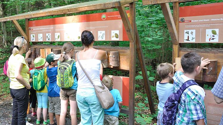 Die Station Boden und Wald