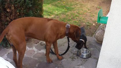 Foto: Tito2578