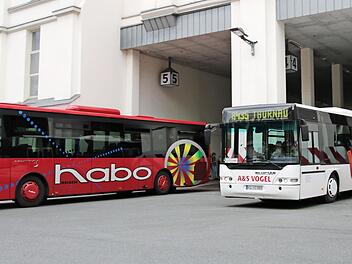 Könnten vielleicht bald unter dem Dach des VGN verkehren: Busse am Omnibusbahnhof in Kulmbach. Foto: Klaus Klaschka