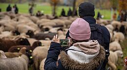 Vorschaubild