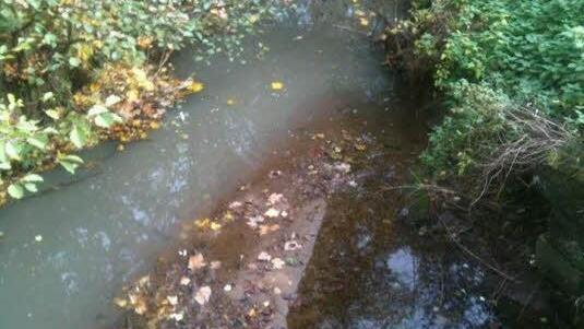 Foto: Christoph Oppel