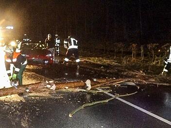 Zwischen Pödeldorf und Bamberg krachte ein Baum fast direkt vor einem Autofahrer auf die Straße (2281)  Foto: News5/Merzbach