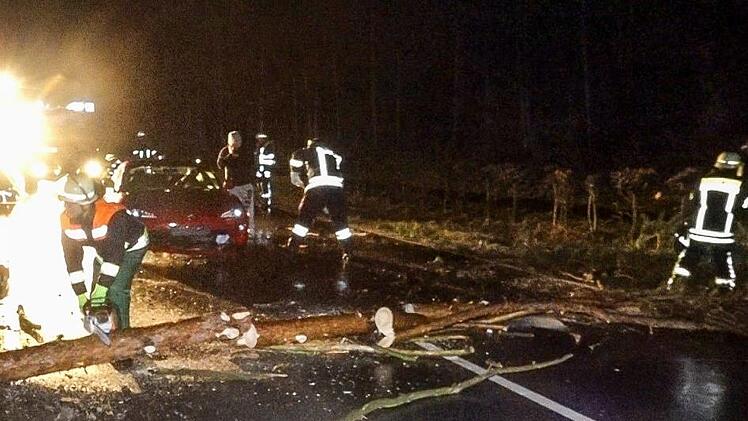 Zwischen Pödeldorf und Bamberg krachte ein Baum fast direkt vor einem Autofahrer auf die Straße (2281)  Foto: News5/Merzbach