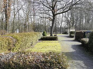 Ein neues Urnenfeld soll in diesem Bereich des Friedhofs entstehen.Foto: Heike Beudert