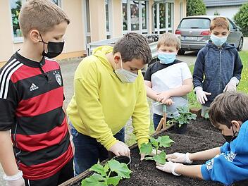 Die Schüler bepflanzen das neue Hochbeet.
