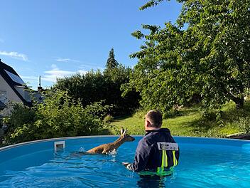 Ein Feuerwehrmann rettet ein Rehkitz aus einem Pool