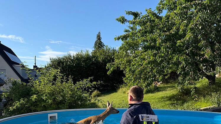 Ein Feuerwehrmann rettet ein Rehkitz aus einem Pool