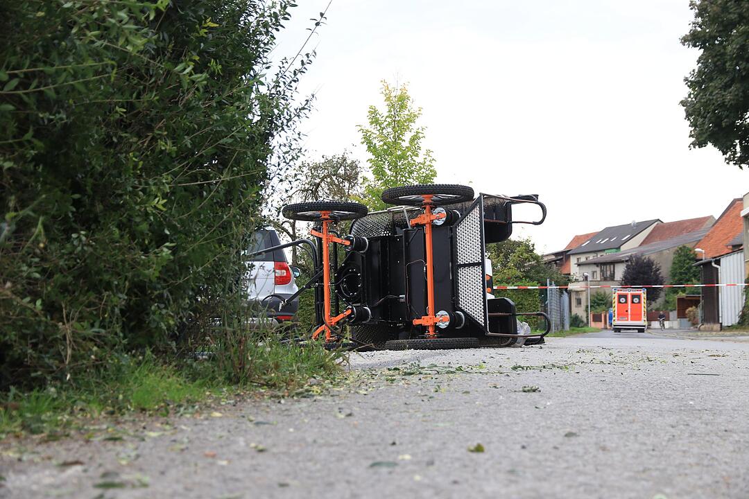 Landkreis Schweinfurt: Pferdekutsche kippt um