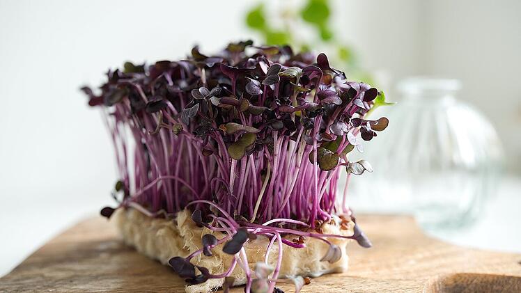 Microgreens sind so gesund - sie enthalten zahlreiche wichtige Nährstoffe, Mineralien und Vitamine.