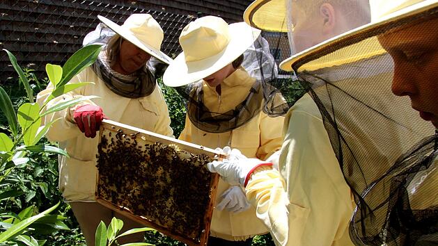 Ruth Silberschneider (l.) bringt ihren Sch&uuml;lern anhand der Bienen komplexe biologische Zusammenh&auml;nge n&auml;her. Foto: Richard S&auml;nger