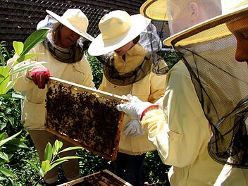 Ruth Silberschneider (l.) bringt ihren Schülern anhand der Bienen komplexe biologische Zusammenhänge näher. Foto: Richard Sänger