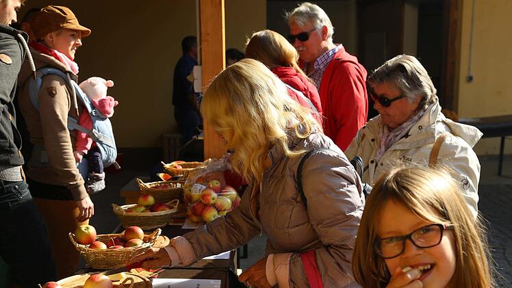 Die unterschiedlichen Äpfel schmeckten Foto: Franz Galster