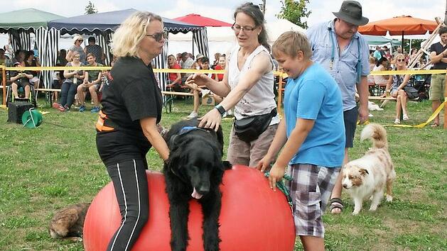 Ganz sch&ouml;n anstrengend, diese Dog-Fitness&uuml;bungen Fotos: Maria L&ouml;ffler