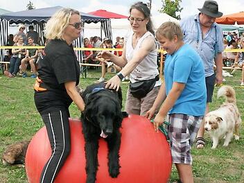 Ganz schön anstrengend, diese Dog-Fitnessübungen Fotos: Maria Löffler