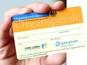 Foto: Caroline Seidel, dpa