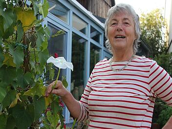 Edith Memmel ist begeistert von der nachts blühenden Mondwinde in ihrem Garten in Mitwitz. Foto: Veronika Schadeck