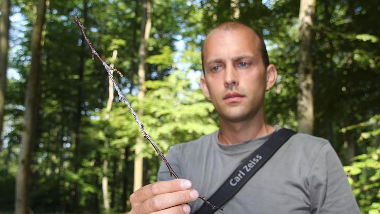 Einen kleinen Zweig mit Storchen-Kot findet Daniel Scheffler noch unter dem Baum. Er fragt sich, wo der Rest des Horstes geblieben ist.