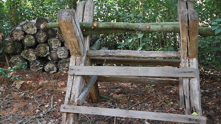 Der Naturgarten von Peter Hofmann und Petra Niedermeyer ist geprägt von Gemüseanbau und Wildwuchs. Foto: Mathias Erlwein
