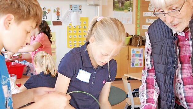 G&auml;rtnermeister Rudolf Wihl war nat&uuml;rlich zur Ernte vor Ort und half kr&auml;ftig mit beim Verarbeiten. Foto: Uschi Prawitz