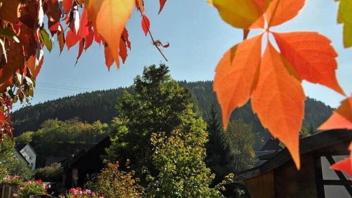 Foto: Birgit Götz