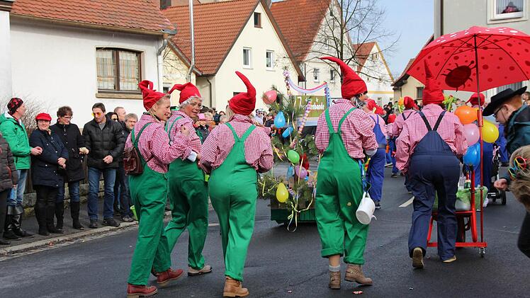 Faschingszug in Steinach. Foto: Benedikt Borst