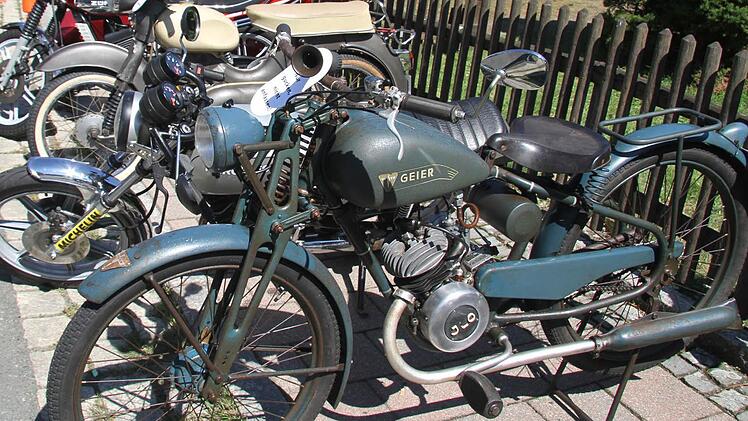 Die alte Geier hat Seltenheitswert.