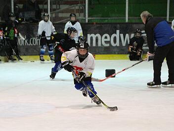 Aufs  Training des Eishockey-Nachwuchses wird beim Höchstadter EC besonderer Wert gelegt.  Foto: Andreas Dorsch