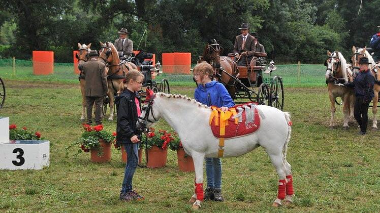 Nele und ihre Cousine Jule werden heuer wieder mit Schleifenpony Pünktchen auf die Sieger warten.