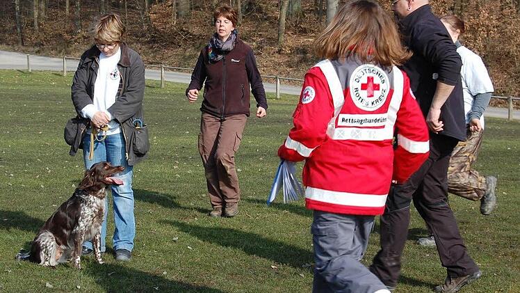 Grundgehorsam und Verträglichkeit lernen die Rettungshunde bei ihrer Ausbildung, wie hier in Hassenbach. Bei regelmäßigen Prüfungen müssen sie ihre Fähigkeiten unter Beweis stellen. Foto: Günther Straub