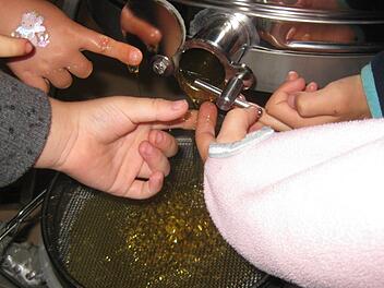 Beim Besuch im Bienenlehrstand durften die Kinder ganz frischen Honig kosten. Sabine Scheuble