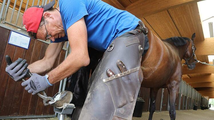 Hier arbeitet Lothar Hartmann an den neuen Schuhen von Gandela, Fotos: Barbara Herbst