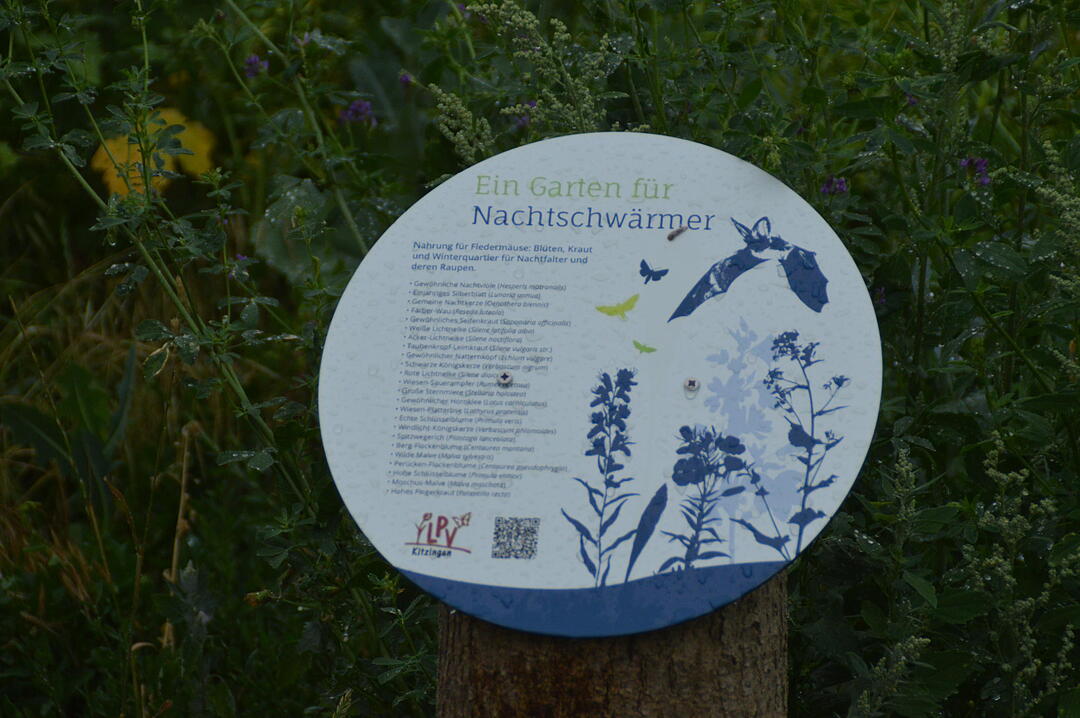 Hellmitzheim hat Zukunft