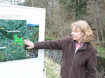 Cordula Kelle-Dingel zeigt auf das Kartiergebiet für den Schwarzstorch.   Foto: Friedwald Schedel