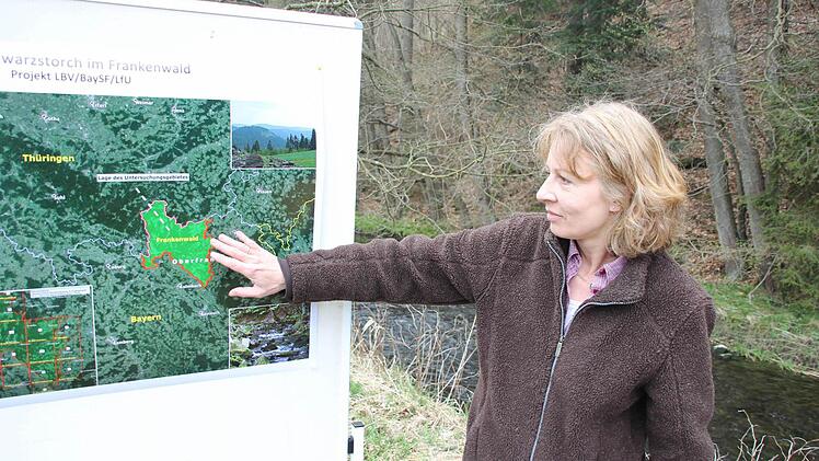 Cordula Kelle-Dingel zeigt auf das Kartiergebiet für den Schwarzstorch.   Foto: Friedwald Schedel