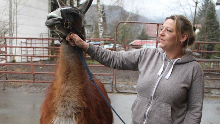 Der kleine Zirkus hat natürlich auch Tiere dabei Tanja Kübler führt ein Lama aus, das gar nicht spuckt. Foto: Sonja Adam