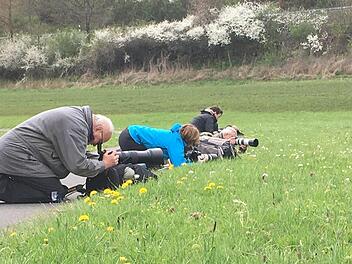Da gehen sie sogar auf die Knie für die blühende Schönheit: Fotografen auf der Jagd nach "dem Foto" der Schachblume. Das Foto entstand entlang des Radweges in Richtung Jossa. Foto: Petra Heurich