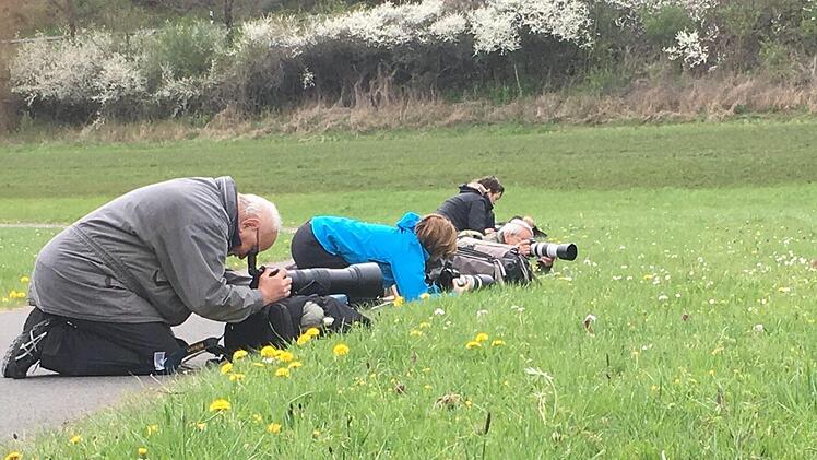 Da gehen sie sogar auf die Knie für die blühende Schönheit: Fotografen auf der Jagd nach "dem Foto" der Schachblume. Das Foto entstand entlang des Radweges in Richtung Jossa. Foto: Petra Heurich