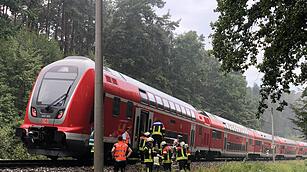 In der Nähe von Roth: Baum stürzt auf Gleise - Zugverbindung lahm gelegt