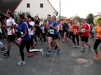 Start für den achten ERH-Vital-Lauf in Weisendorf-Oberlindach Fotos: Richard Sänger