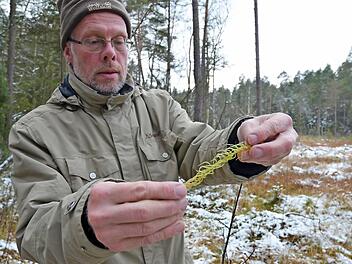 Biologe Frank Reißenweber zeigt eine Moospflanze, die durch Trockenheit blass geworden ist. Fotos: Rainer Lutz