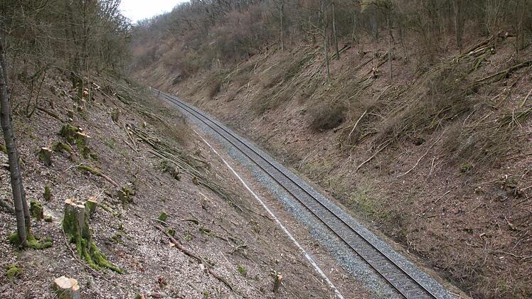 Unter anderem entlang der Strecke nach Ebenhausen wurden die Bäume und Sträucher entfernt. Foto: Ralf Ruppert
